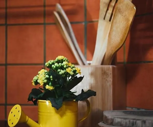 Sky With Sky View Poreč